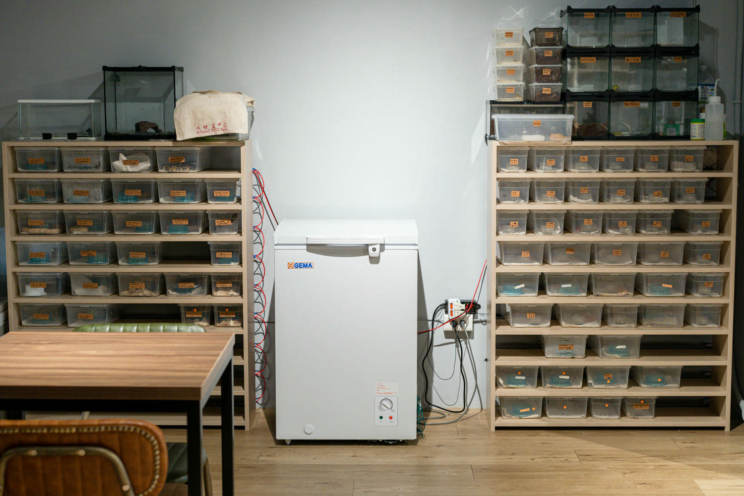 新開幕!新店爬屋爬蟲咖啡廳,跟爬蟲動物互動,低消只要150元! - 第9張圖