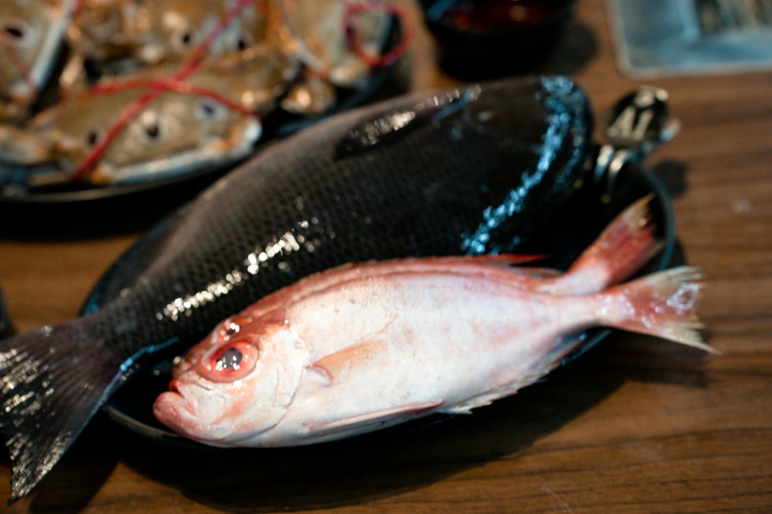 林口海世界複合式碳烤店|現流海魚、生魚片、螃蟹吃到飽!當季牡蠣海鮮無限享用,不收服務費超划算! - 第11張圖