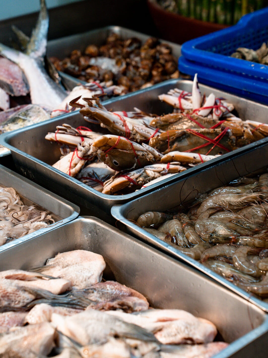 林口海世界複合式碳烤店|現流海魚、生魚片、螃蟹吃到飽!當季牡蠣海鮮無限享用,不收服務費超划算! - 第5張圖