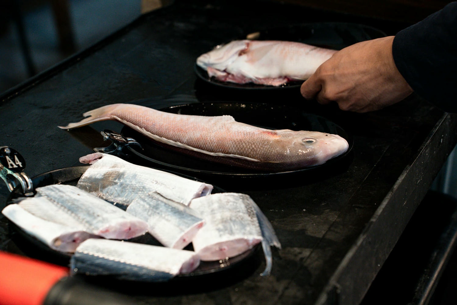 林口海世界複合式碳烤店|現流海魚、生魚片、螃蟹吃到飽!當季牡蠣海鮮無限享用,不收服務費超划算! - 第9張圖